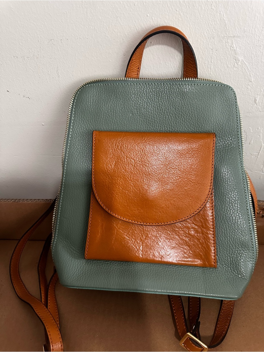 Sage Green and Tan Leather Pocket Backpack for Women